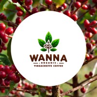 WANNA Yirgacheffe Coffee logo - Similar company to Lulo Coffee