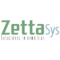 ZettaSys logo - Similar company to Nirven It