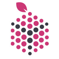 Timesberry Consulting LLP logo - Similar company to Entwine Technologies