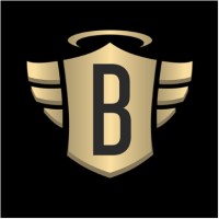 Birmingham Angels logo - Similar company to Pointe Angels