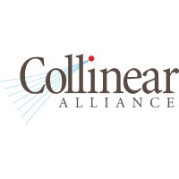 Collinear Alliance logo - Similar company to Supply Chain And Beyond - Supply Chain Ai And Analytics Consulting Firm
