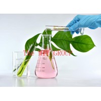 The MIT Group logo - Similar company to Foshan Hongfeng Co.,Ltd