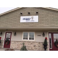 North Shore Doggy Daycare