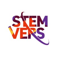 STEMVERS logo - Similar company to Gsa Egypt