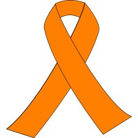 Kidney Cancer Connection logo - Similar company to Premier Planning Group