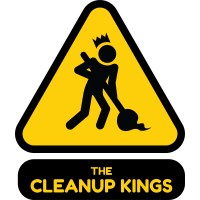 Cleanup Kings LLC logo - Similar company to Snapshell Games, Llc