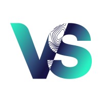 Virtue Serv logo - Similar company to Seecking(Acquired)