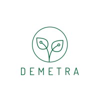 DEMETRA logo - Similar company to Finflow