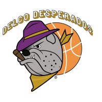 Delco Sports Clubs logo - Similar company to Wisconsin Flight Elite Basketball