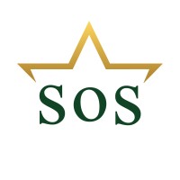 School of Stars logo - Similar company to Pelli Sistemas Engenharia
