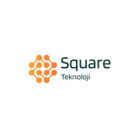 Square Teknoloji logo - Similar company to Detartech