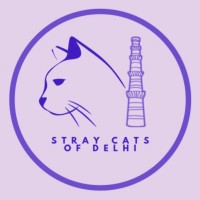 Stray Cats of Delhi logo - Similar company to Shivayu Elegant Planner