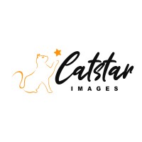 Catstar Images logo - Similar company to Omid Technologies Inc.