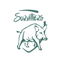 Ville de Survilliers logo - Similar company to Orientéa
