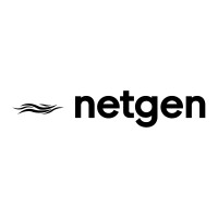 Netgen logo - Similar company to Netgen Solutions