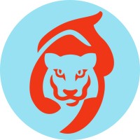 Motion Tiger Limited logo - Similar company to Betstack