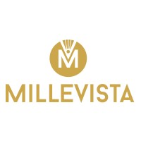 Millevista logo - Similar company to Nattitude