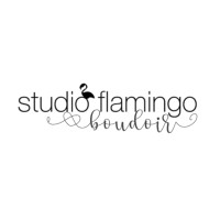 Studio Flamingo logo - Similar company to Studio Flamingo