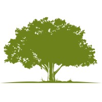 Five Oaks Speech Therapy Services logo - Similar company to Senseabilities Therapy Group