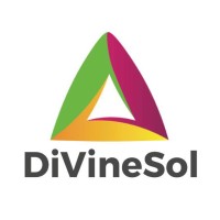 DivineSol Co.,Ltd. logo - Similar company to Binary Digital Media