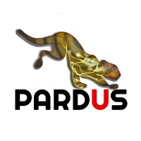 Pardus Tech logo - Similar company to Raven Technology