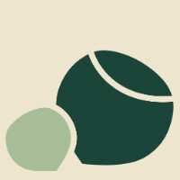 Nutkin logo - Similar company to Assetsagacity