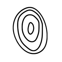 Fall Line Digital logo - Similar company to Noble Minds Creative