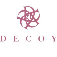 Decoy logo - Similar company to Arti Studio