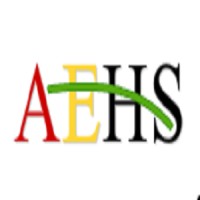 AEHS logo - Similar company to Aehs Foundation