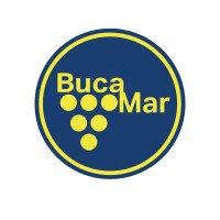 BUCAMAR logo - Similar company to Triem