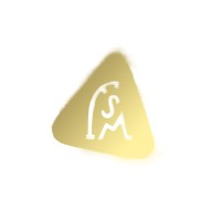 FSM logo - Similar company to Vandal