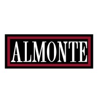 ALMONTE logo - Similar company to Cfo+Co