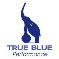 True Blue Performance logo - Similar company to Blue Spring Leads