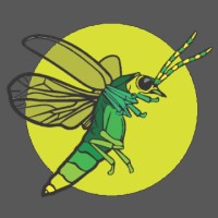 Firefly Intelligent Technologies