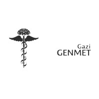 Gazi GENMET logo - Similar company to Gazigenmet