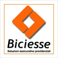 Biciesse snc logo - Similar company to Evotek Sas