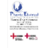 Phoenix Electrical Contractors Ltd