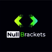 NullBrackets logo - Similar company to Data Tech Solutions