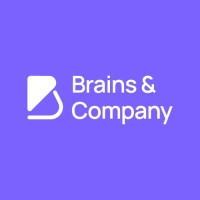 Brains and Company logo - Similar company to Brain & Company