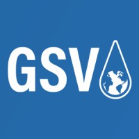 GSV Inspect logo - Similar company to Camin Cargo Europe