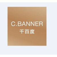 千百度国际控股有限公司 logo - Similar company to Electro X