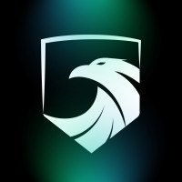 NSP Space logo - Similar company to Evosec Consulting