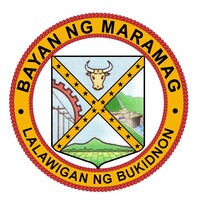 Municipal Government of Maramag Bukidnon logo - Similar company to Bukidnon State University
