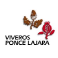 Viveros Ponce Lajara SL logo - Similar company to Viveros Medipalm