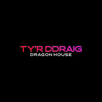 Ty'r Ddraig logo - Similar company to Snapper Films