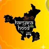Haryana Hood logo - Similar company to Stellaron