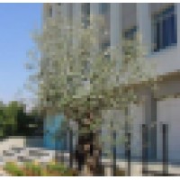 International School -- Al Koura