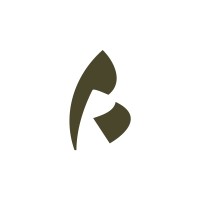 Binnendijk & van Rijsbergen logo - Similar company to Maeshave Assuradeuren