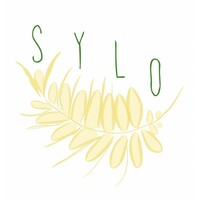 SYLO Coaching - Executive Function Coaching NYC logo - Similar company to Sylo | Beyond Hr.