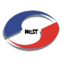 NeST Technologies logo - Similar company to Sfo Technologies